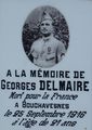 Delmaire Georges 1.jpg