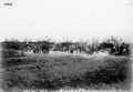 Souchez artillerie 1915.jpg