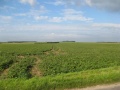 Campigneulles-les-Grandes plateau agricole (1).jpg